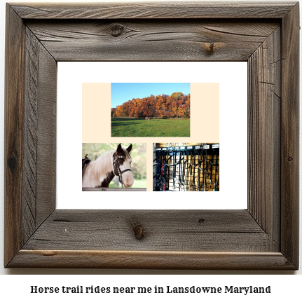 horse trail rides near me in Lansdowne, Maryland